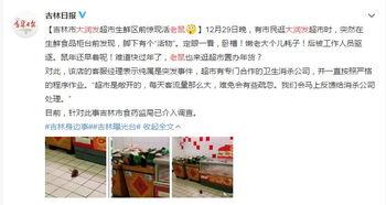 西宁五个最新爆料,揭秘城市最新动态与热点事件