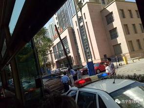 西宁五个最新爆料,揭秘城市最新动态与热点事件