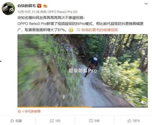 常绿干部爆料视频最新版,揭秘权力背后的真相与挑战