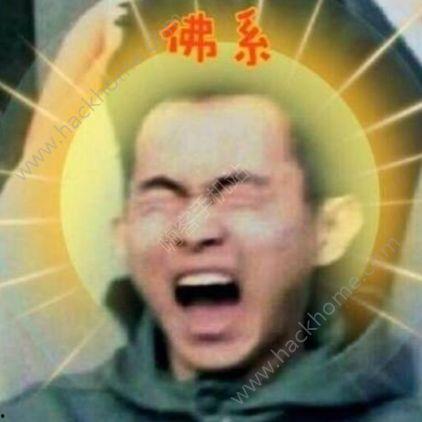 抖音猪八戒爆料视频大全,揭秘猪八戒的趣味生活与搞笑瞬间