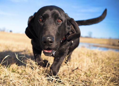 沧兴一品爆料事件视频全集,揭秘背后真相与争议