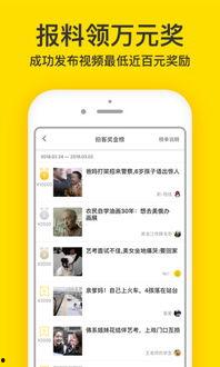 如何结梨视频爆料,揭秘结梨背后的惊人真相