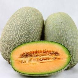 网红鹅喜欢吃哈密瓜吗,揭秘哈密瓜的诱惑