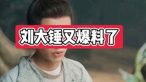 刘大锤爆料张颖颖视频,真相与争议