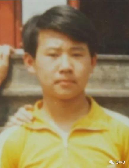 平乡网红吃瓜事件始末,一场网络舆论的风暴与反思