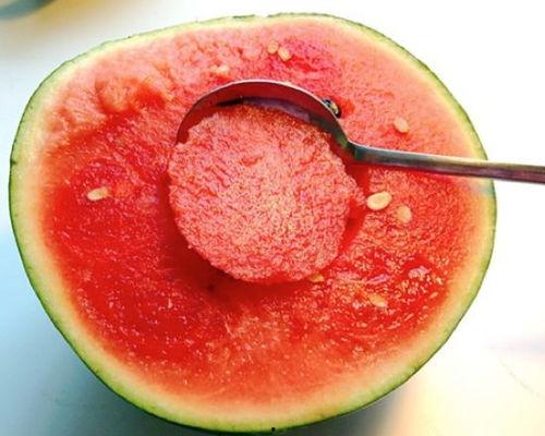 网红瓜勺子挖着吃的视频