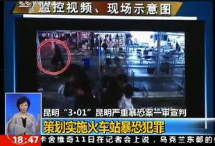 昆明爆料海燕视频播放时间,海燕视频播放时间揭秘，真相令人震惊