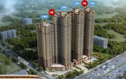 报恩寺智祥爆料视频在线观看,独家内容在线观看