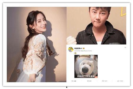 爆料杨颖酒吧视频大全,揭秘明星夜生活瞬间