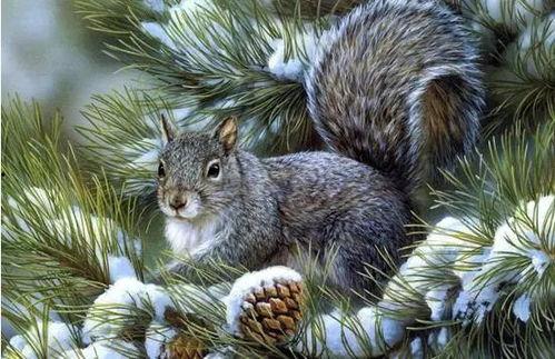 鼠宝宝过桥爆料视频大全