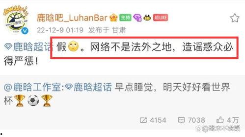 狗仔星期二爆料视频播放,热门视频播放背后的故事