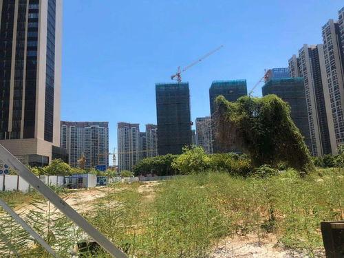 最新家园爆料,最新动态与未来展望