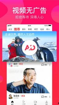 吃瓜题材视频大全下载免费,免费下载，一网打尽！