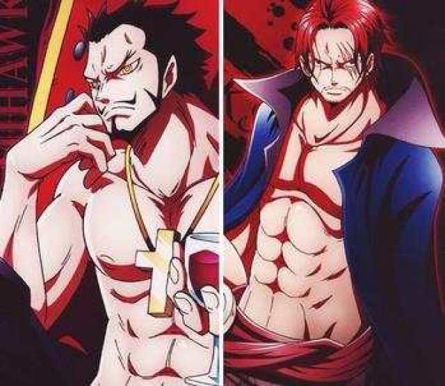 航海王鹰眼爆料视频大全,鹰眼爆料视频大全，揭秘神秘世界背后的真相