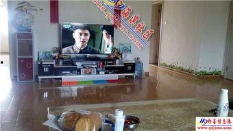 2007阁楼在线观看,重温经典，探寻青春记忆