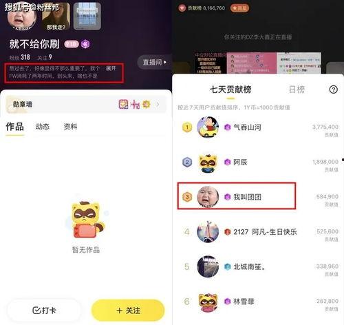 崽崽新闻爆料在哪里看,揭秘独家内容观看途径