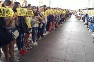 洛阳爆料兄弟事件最新,揭秘背后真相与冲突升级