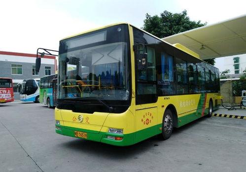 莆田公交车爆料视频播放