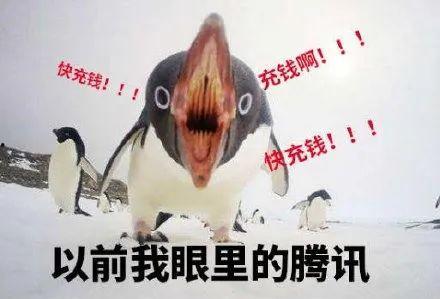 爆料人笑出鹅叫声视频播放,笑出鹅叫声！揭秘热门视频背后的爆笑瞬间