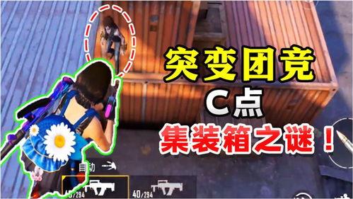 鸡哥最新爆料视频下载