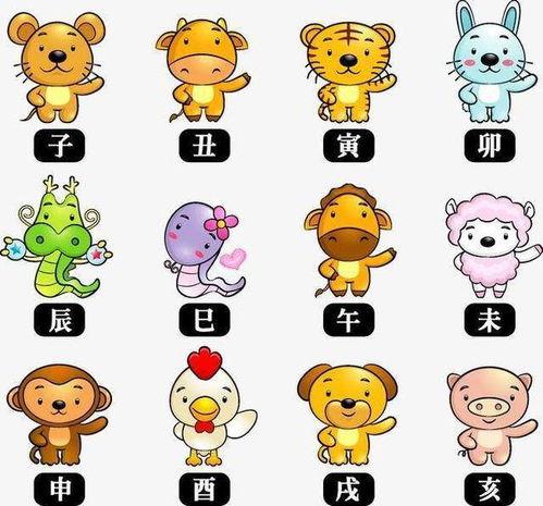 在线观看十二生肖,探寻生肖背后的神秘力量与传奇故事