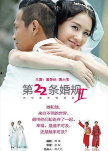 第22条婚规在线观看,揭秘婚姻中的禁忌与智慧