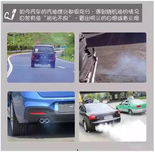 烧机油车主爆料视频播放,烧机油现象揭秘，视频曝光惊人真相！