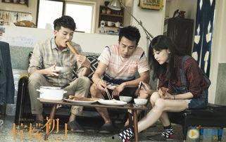 在线观看 柠檬初上,甜蜜爱情与职场挑战的交织之旅