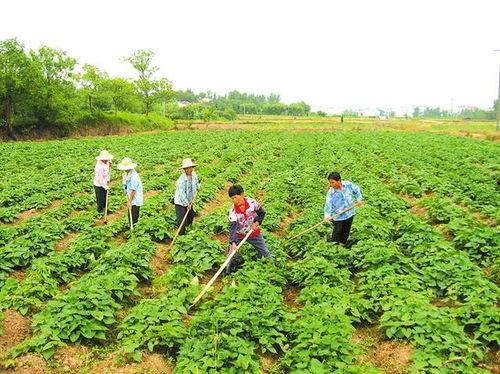梁才学校爆料案件最新进展,案情明朗化，关键证据浮出水面