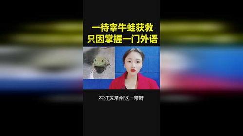 牛蛙门在线视频观看,揭秘神秘生物的在线视频之旅