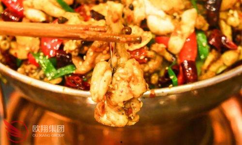 牛蛙门在线视频观看,揭秘神秘生物的在线视频之旅