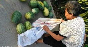 梁山大瓜爆料视频最新,最新视频爆料梁山好汉真相