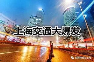 上海市最新爆料,聚焦城市动态与热点事件