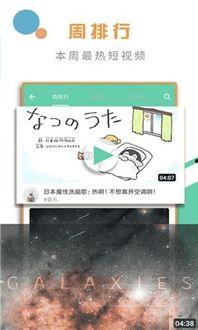 小椰子爆料视频网站大全,揭秘热门视频网站大全