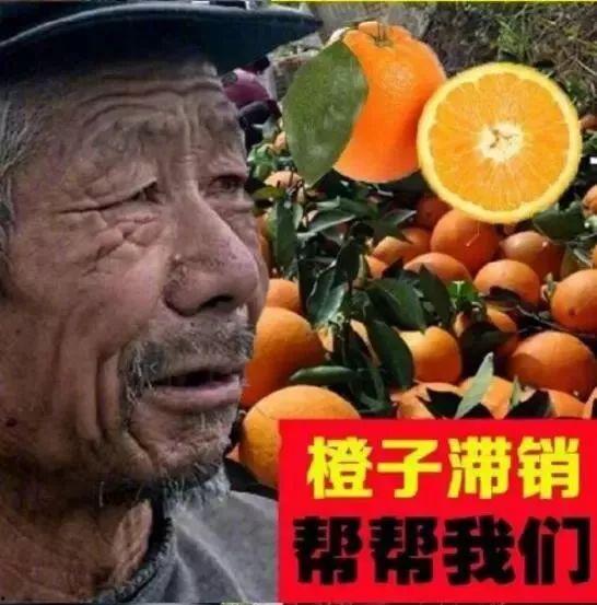 大爷爆料茶叶视频大全集,大爷爆料视频大全集深度解析